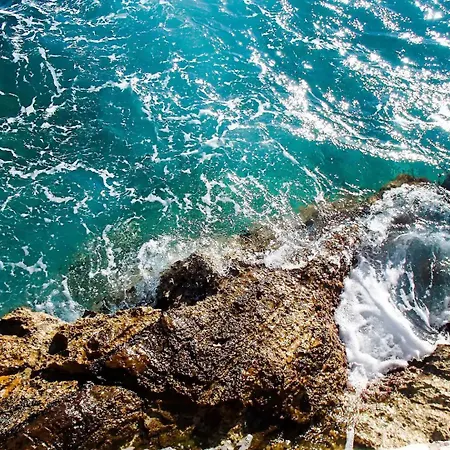 Madeleine Hvar * 赫瓦尔