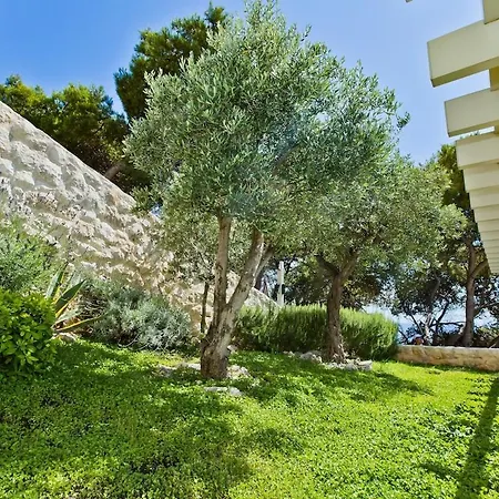 Madeleine Hvar *